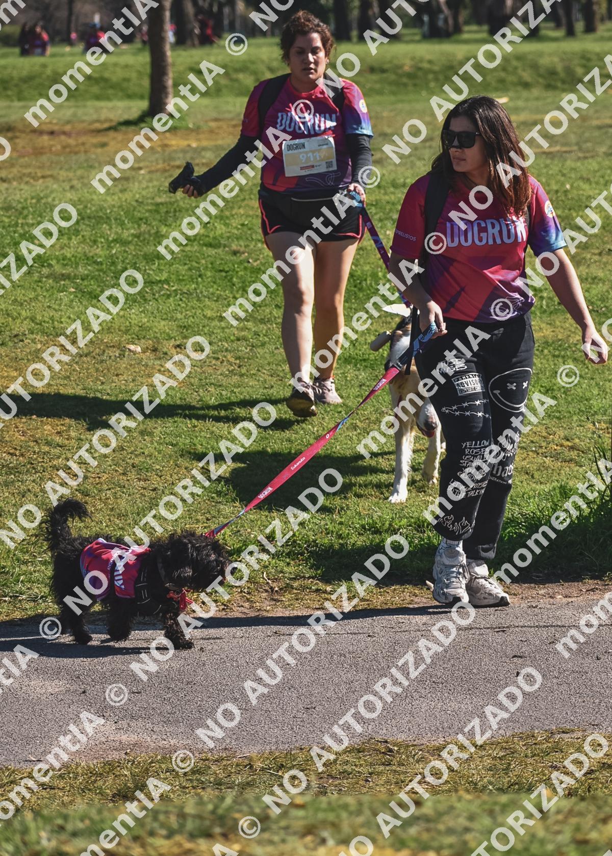 Vista previa de la foto del evento